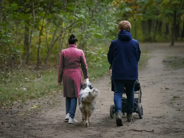Ouder wandelt met kinderwagen in het bos.